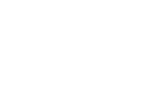 palsystem-kanagawa 20th Anniversary おかげさまで設立20周年を迎えました！