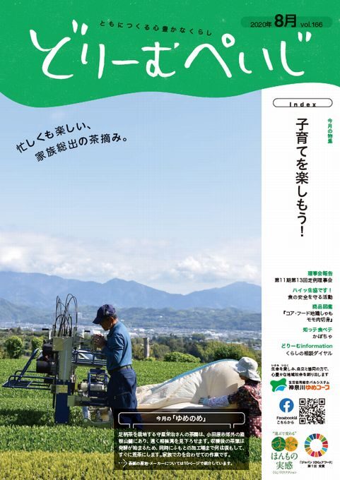 どりーむぺいじ2021年10月号の表紙