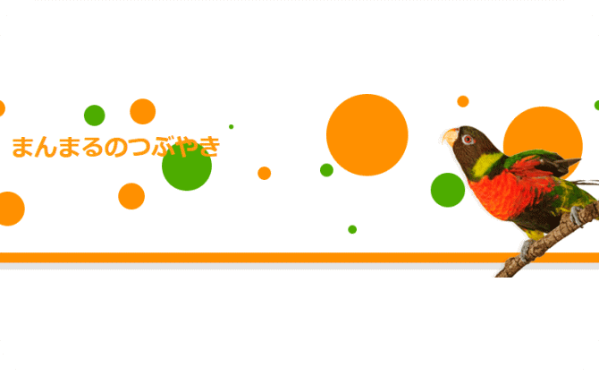 まんまるのつぶやき