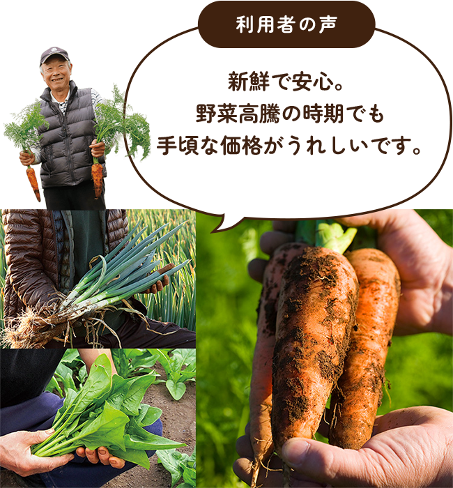 利用者の声